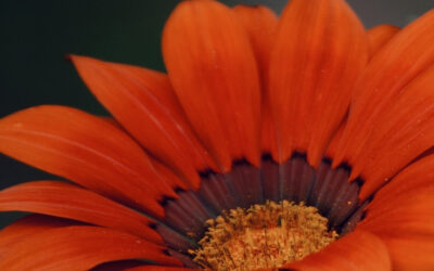 Why I Feel Empowered After My Miscarriage